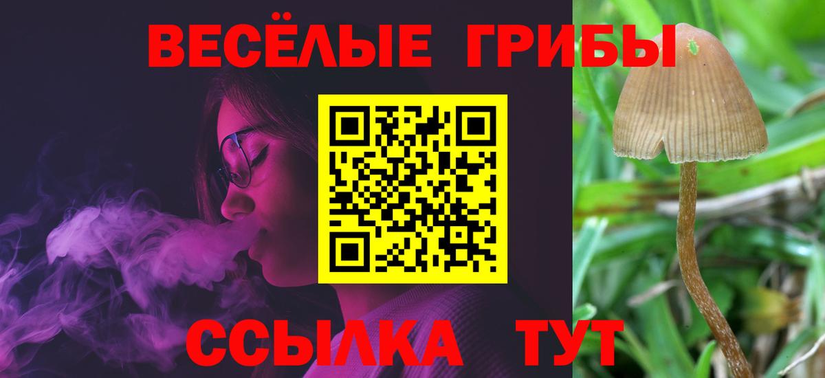 Ангарск  Галлюциногенные грибы ЛСД  Вход с VPN 